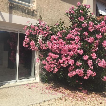 Gite De La Foye - Le Magnolia Combrand Exterior foto