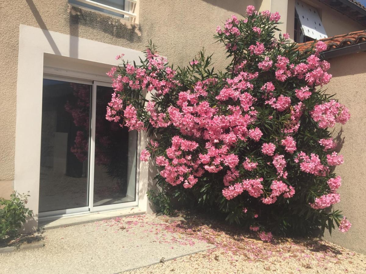 Gite De La Foye - Le Magnolia Combrand Exterior foto